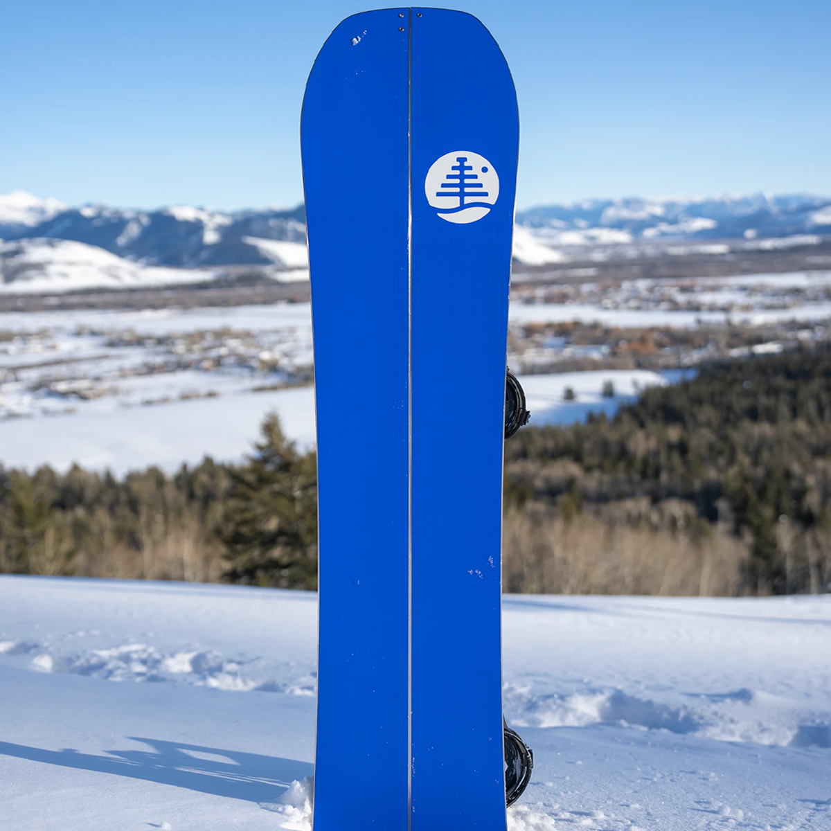 Family Tree Hometown Hero Splitboard