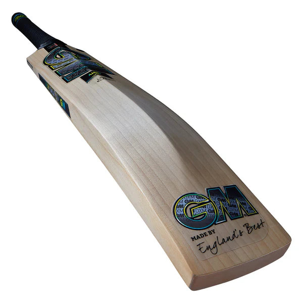 Gunn & Moore Aion DXM 808 Cricket Bat (2024)