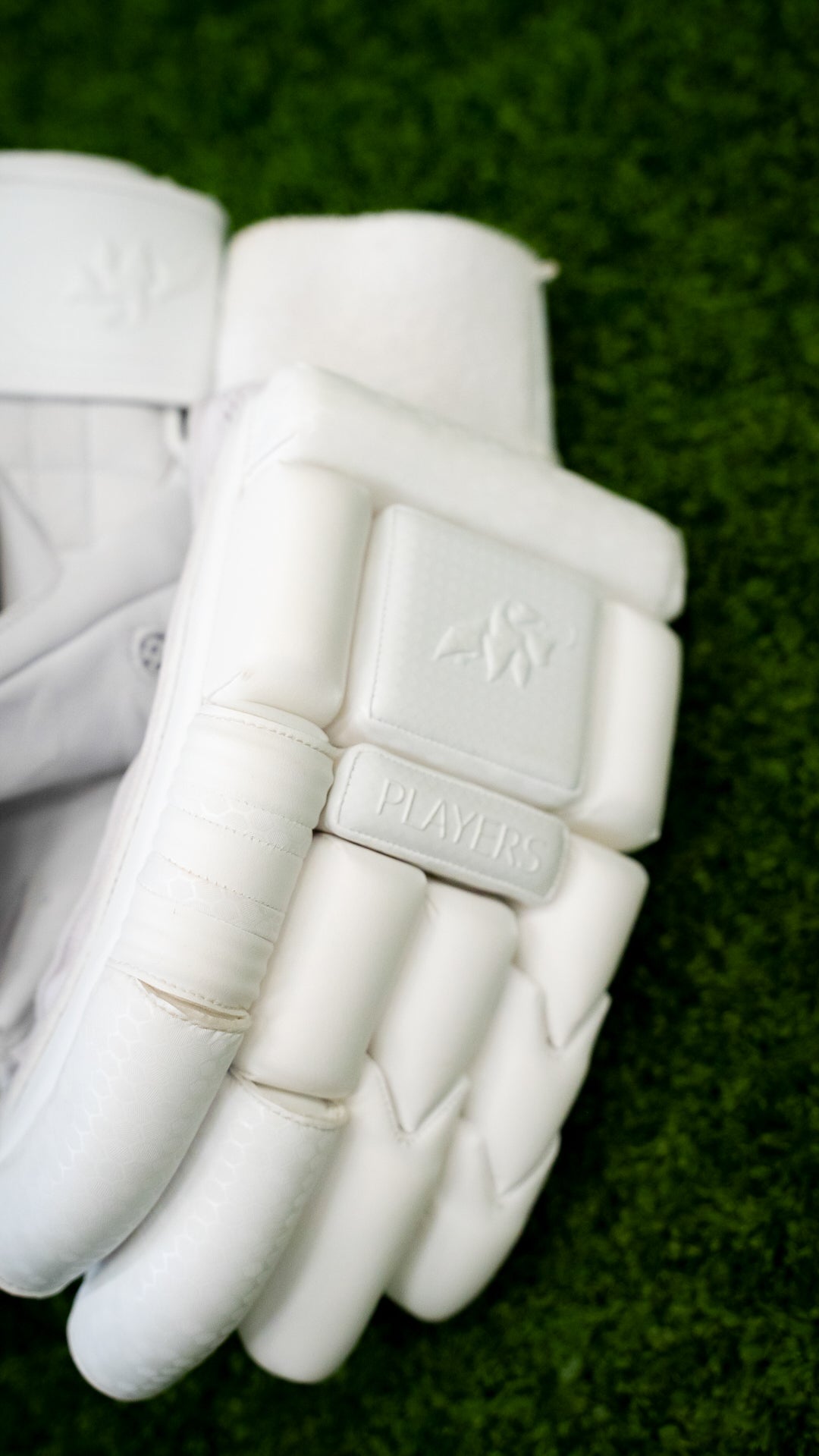 2024 Batting gloves | Players