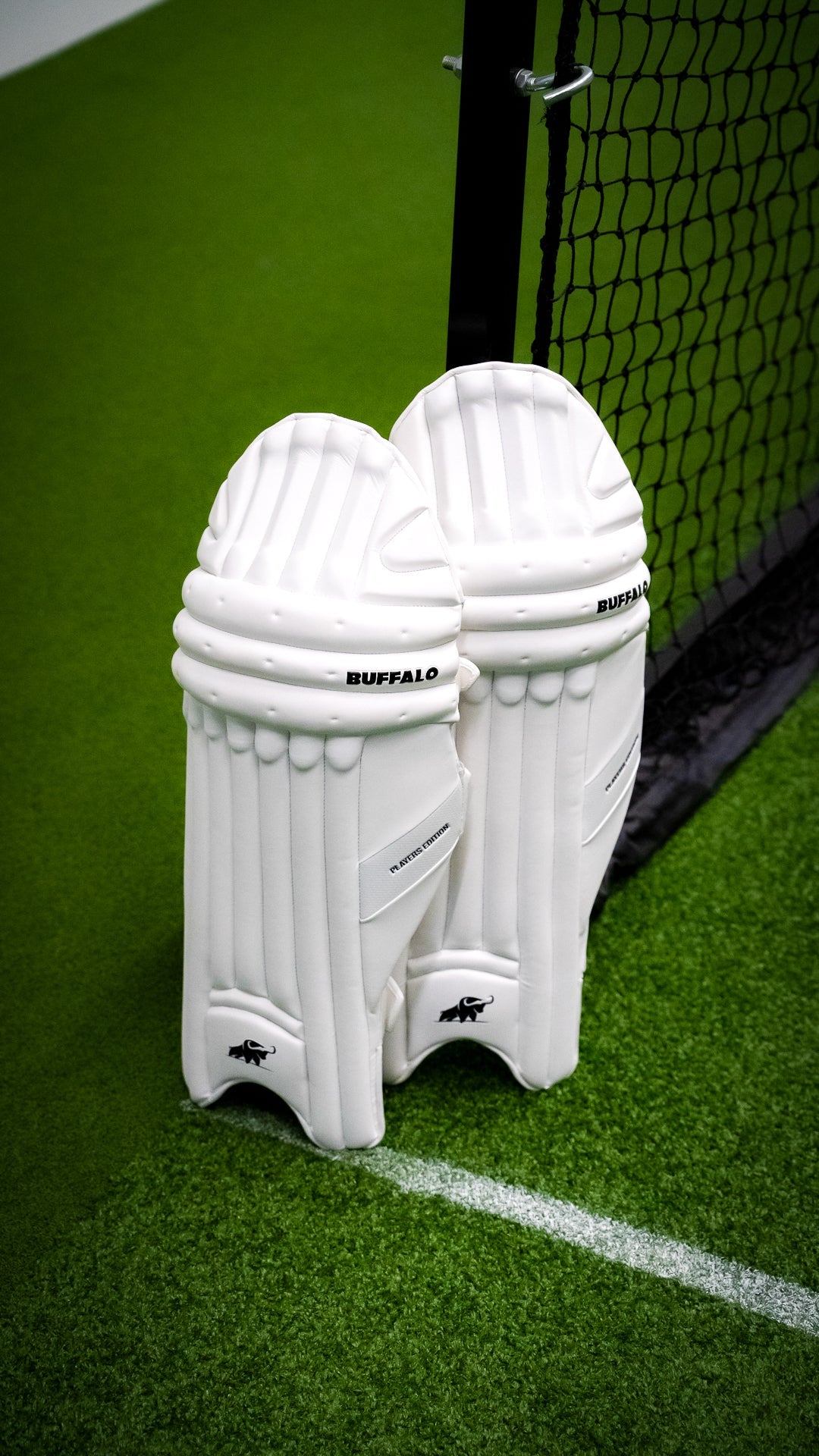 2024 Batting pads | Players