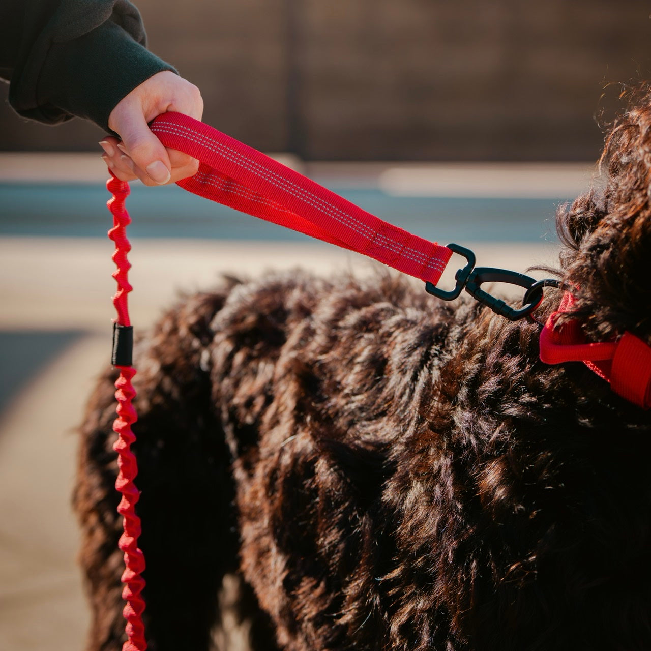 Tactical Nylon Leash Elite Red