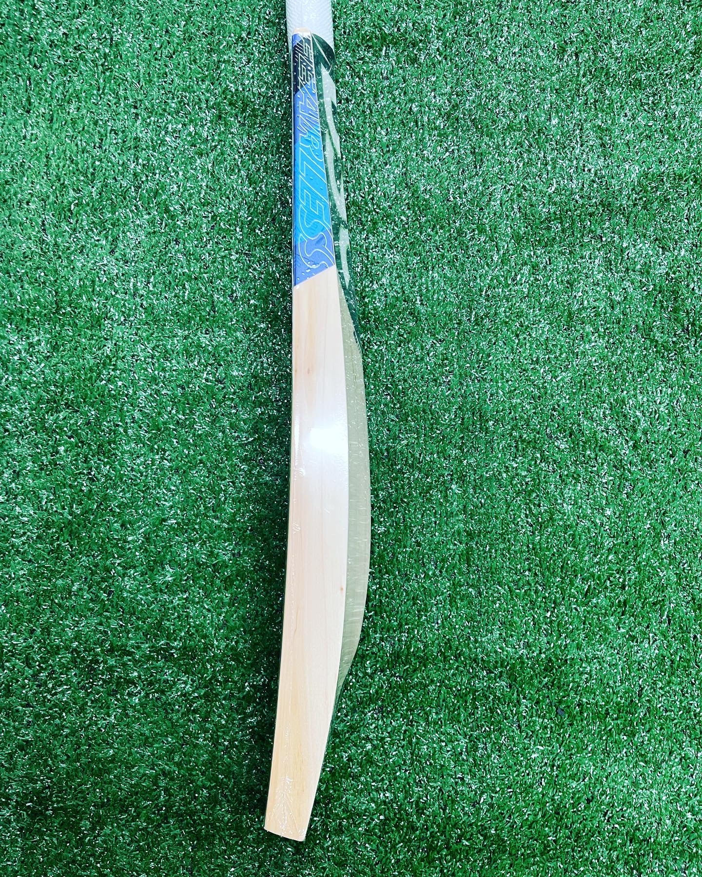 DSC BLU 111 Cricket Bat