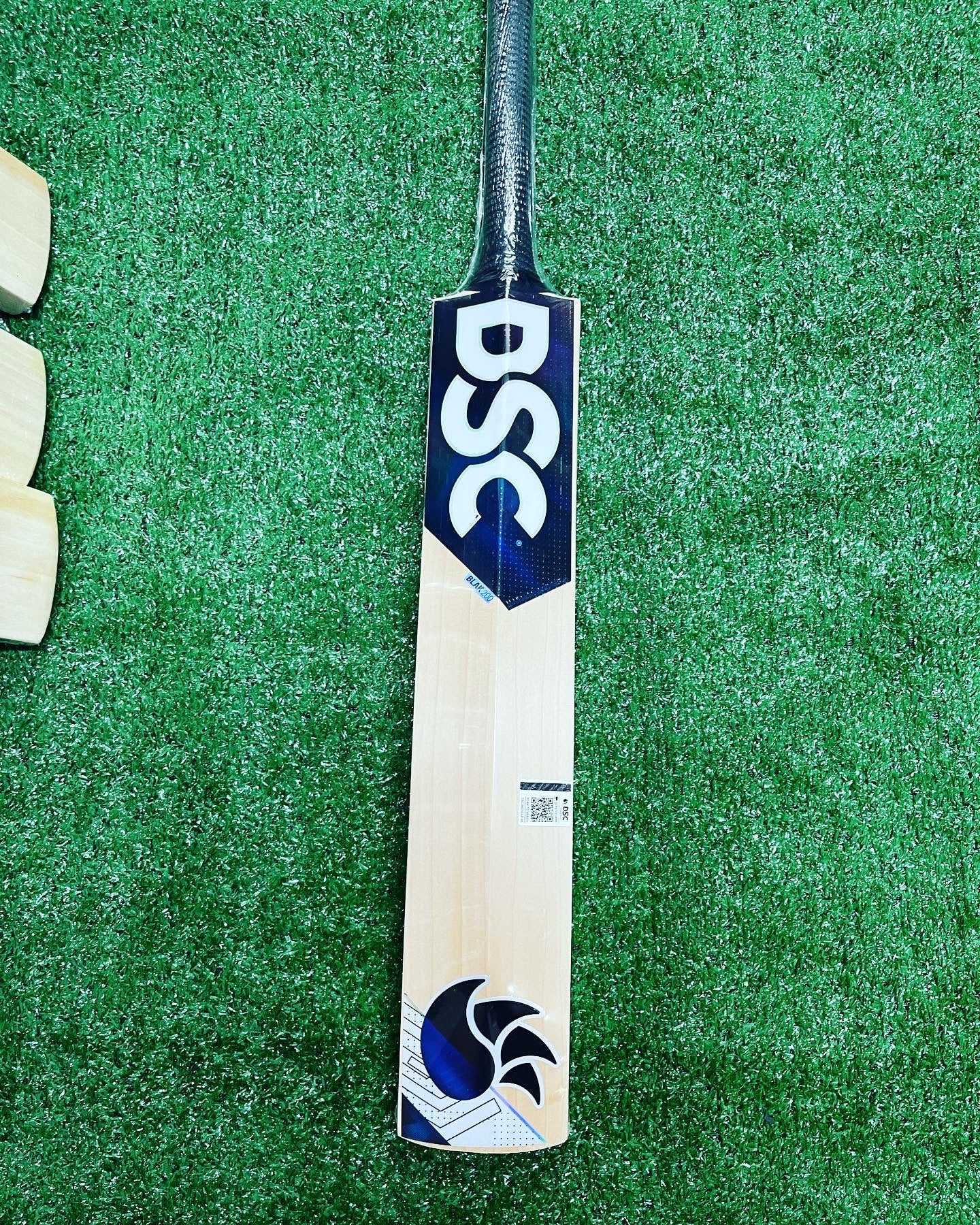 DSC BLAK 200 Cricket Bat