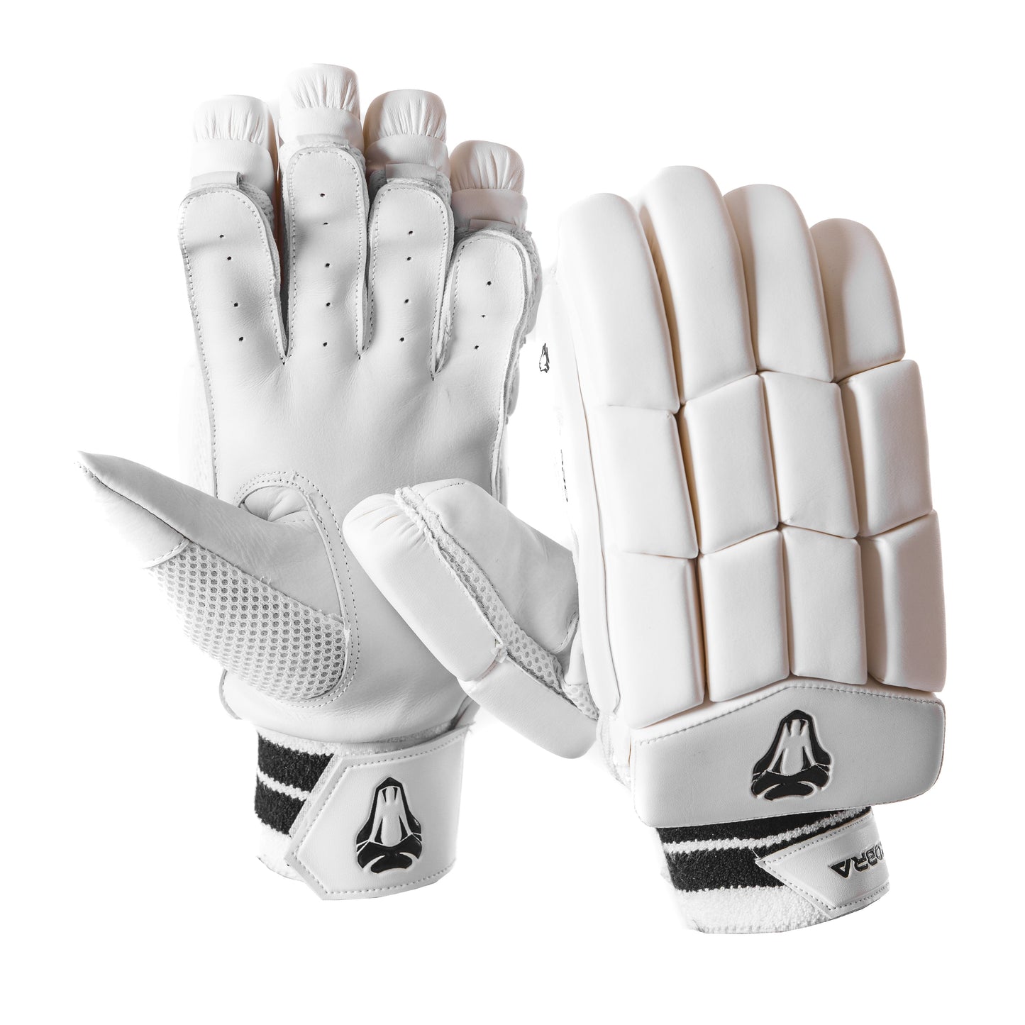 PRO EDITION PADS & GLOVES BUNDLE