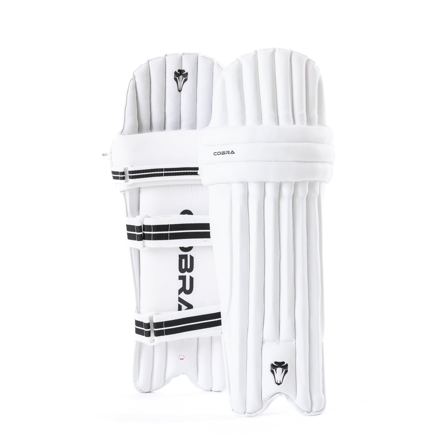 CLUB EDITION JUNIOR BATTING PADS