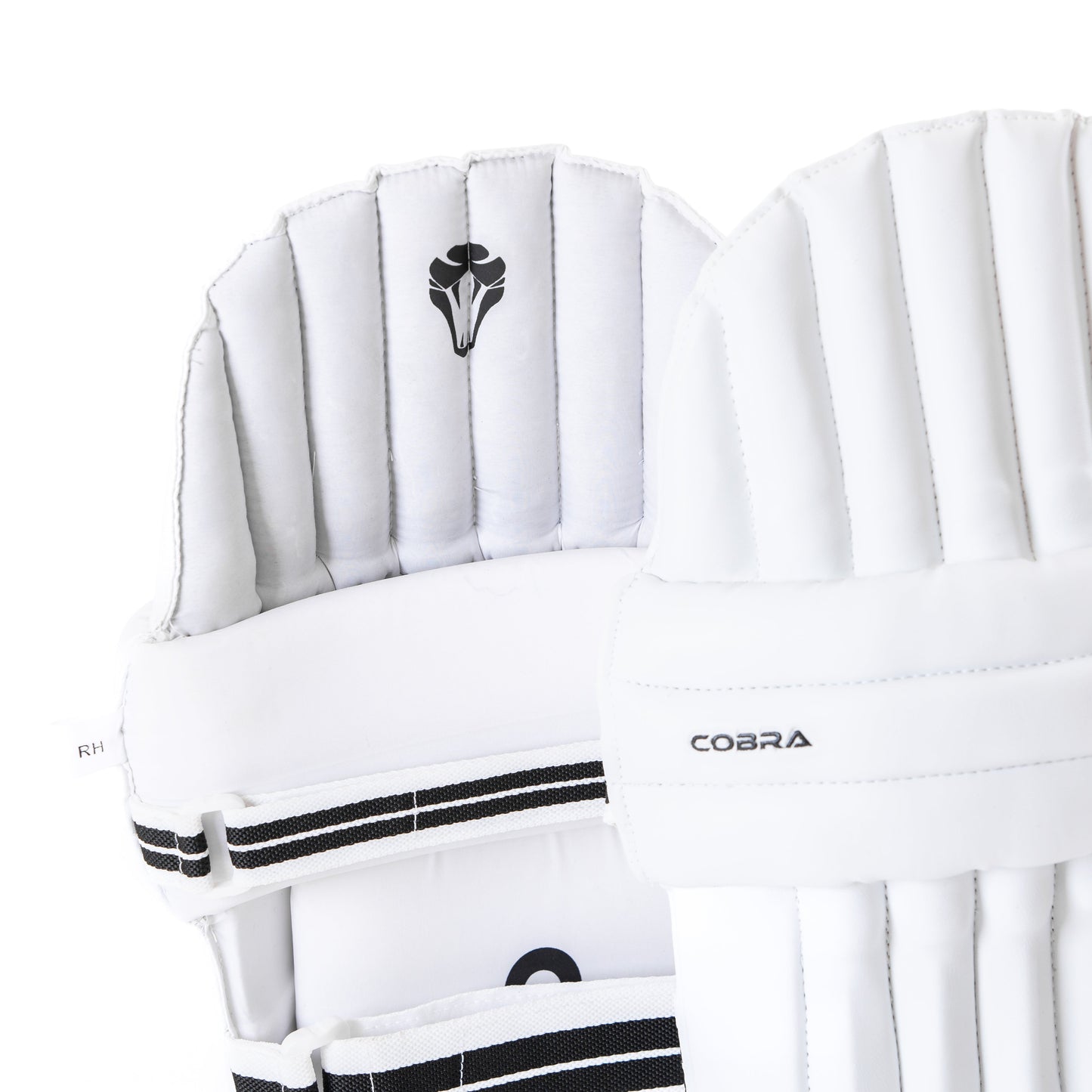 CLUB EDITION JUNIOR BATTING PADS