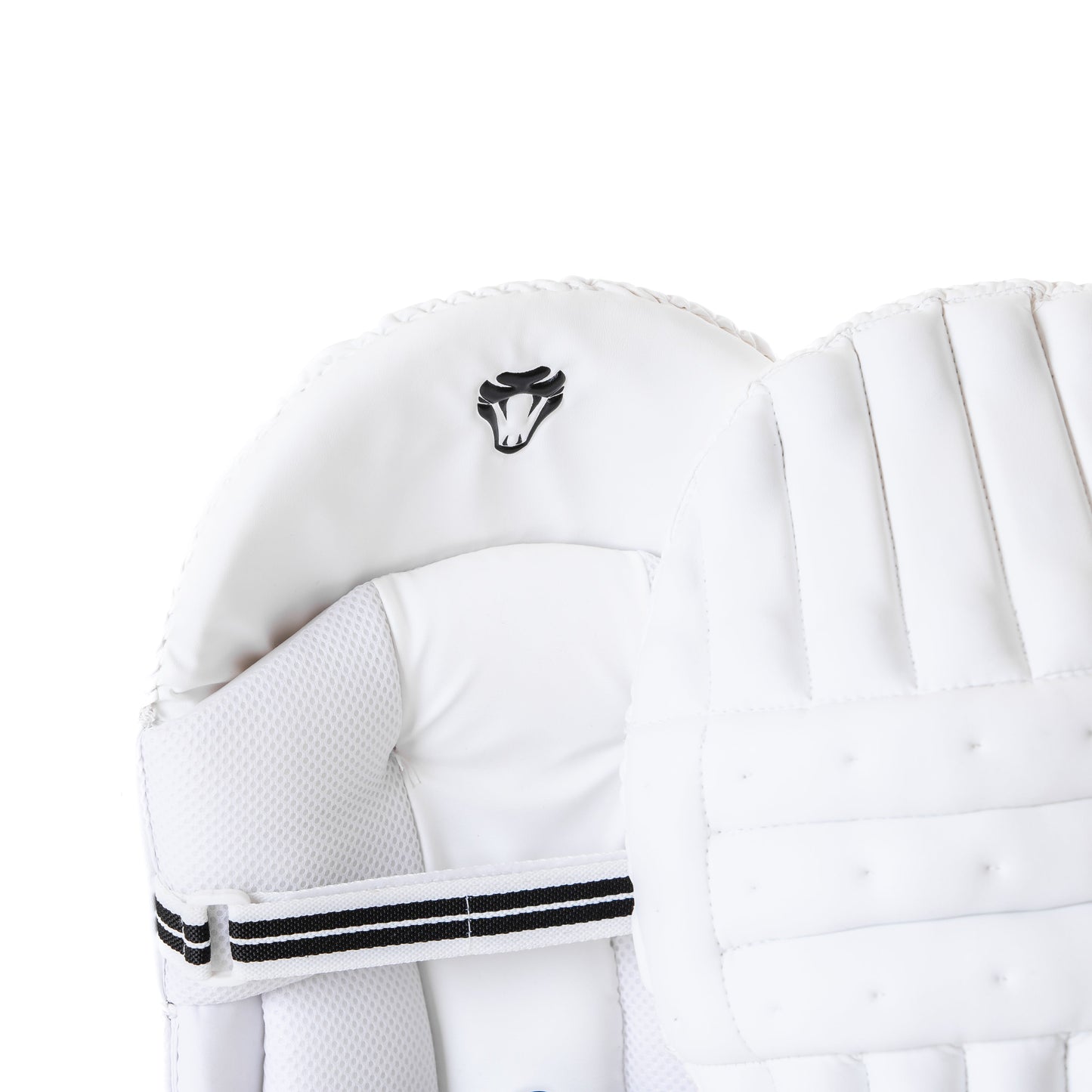 PRO EDITION PADS & GLOVES BUNDLE