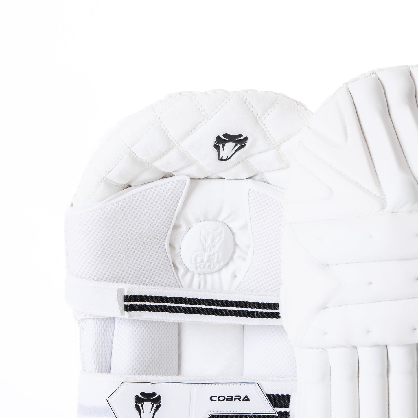 SPECIAL EDITION PADS & GLOVES BUNDLE