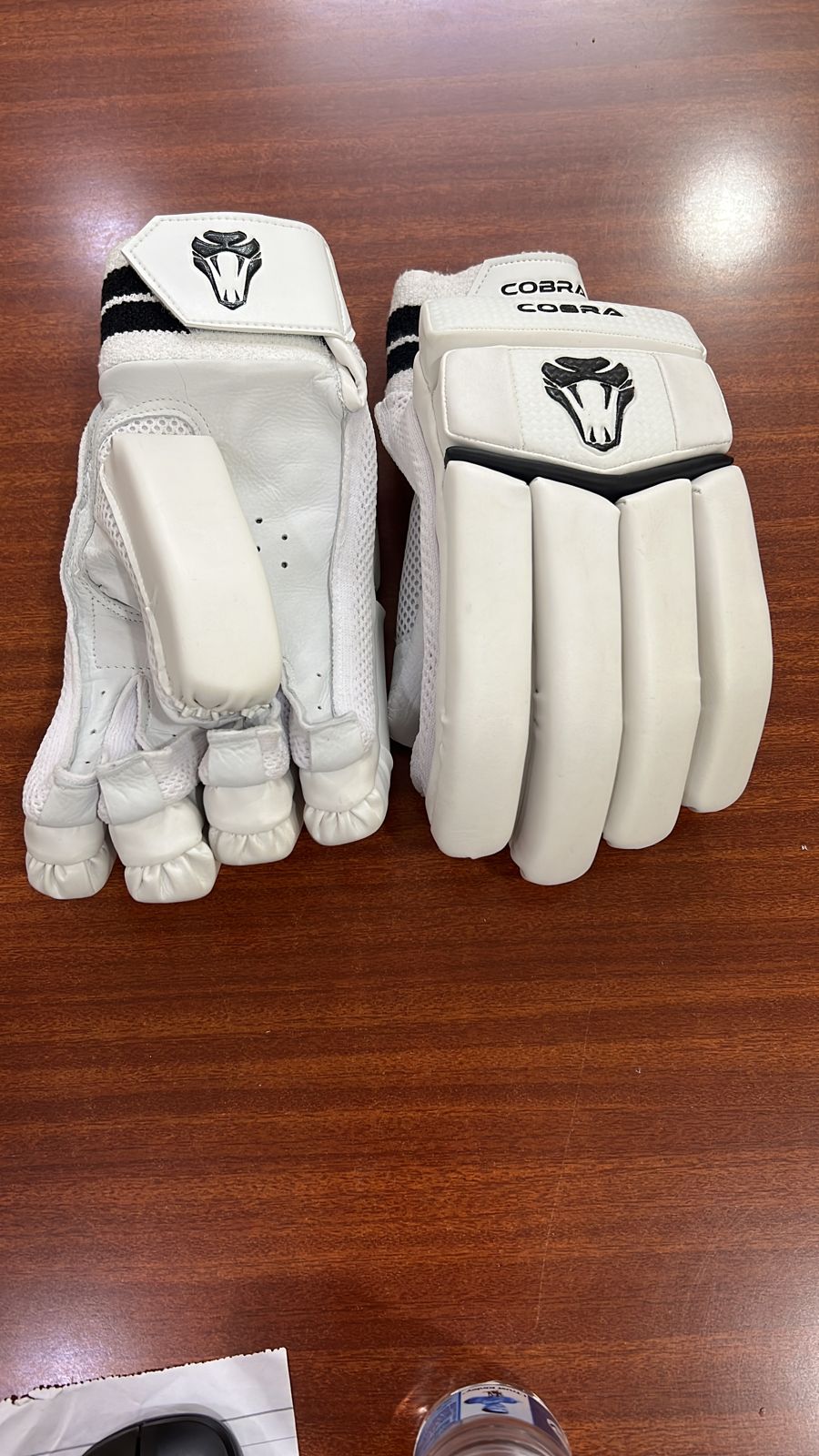 JUNIOR BAT  BUNDLE CLUB EDITION - JUNIOR BAT ,CLUB PADS & CLUB GLOVES