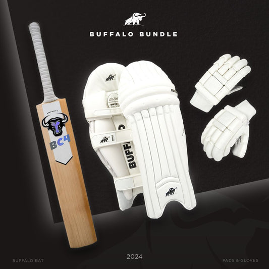 Grade 1 Bat, pads and gloves bundle