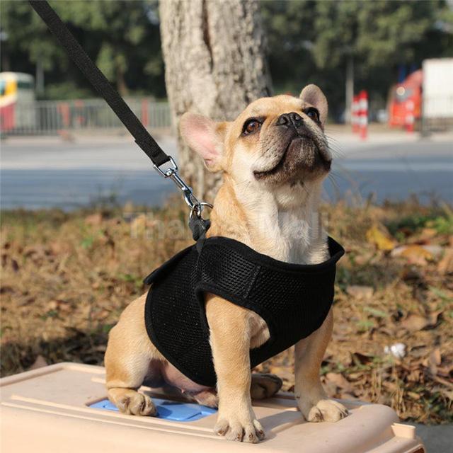 Adjustable Soft Breathable Dog Vest