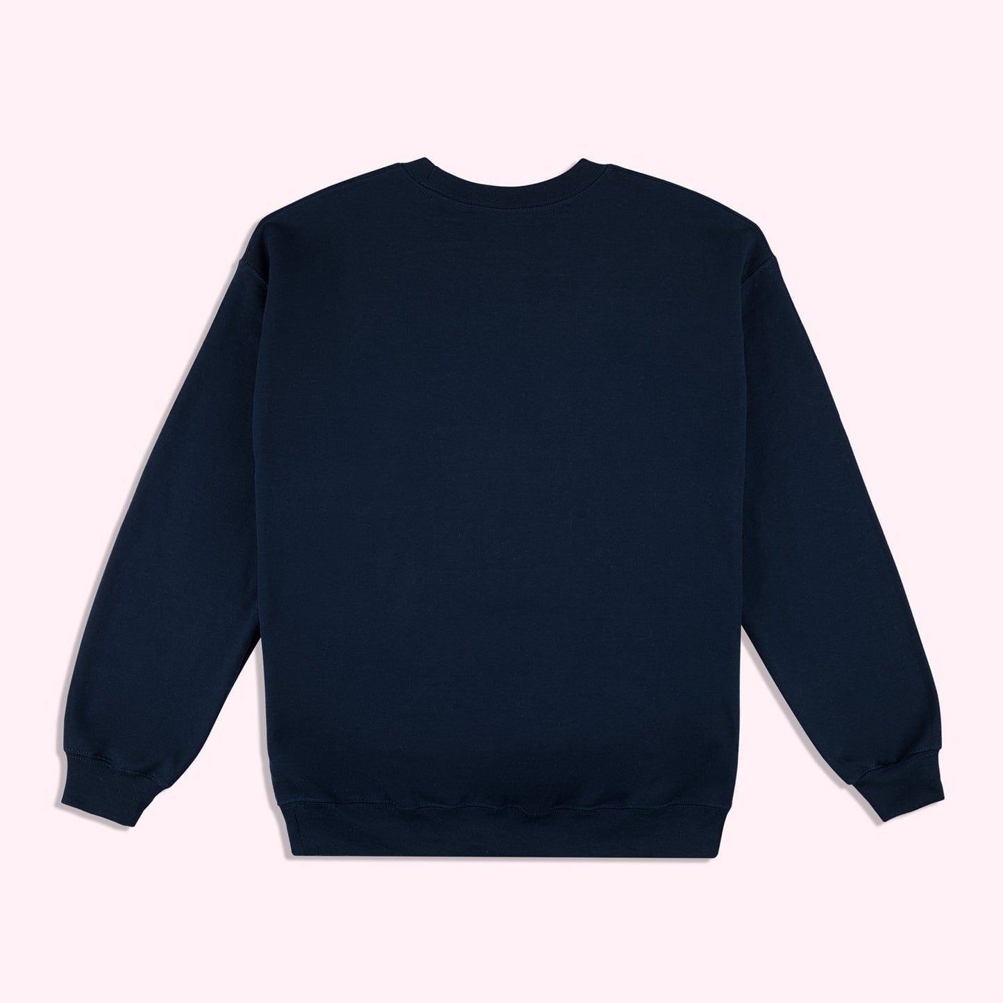 SCL Bear Navy Sweatshirt