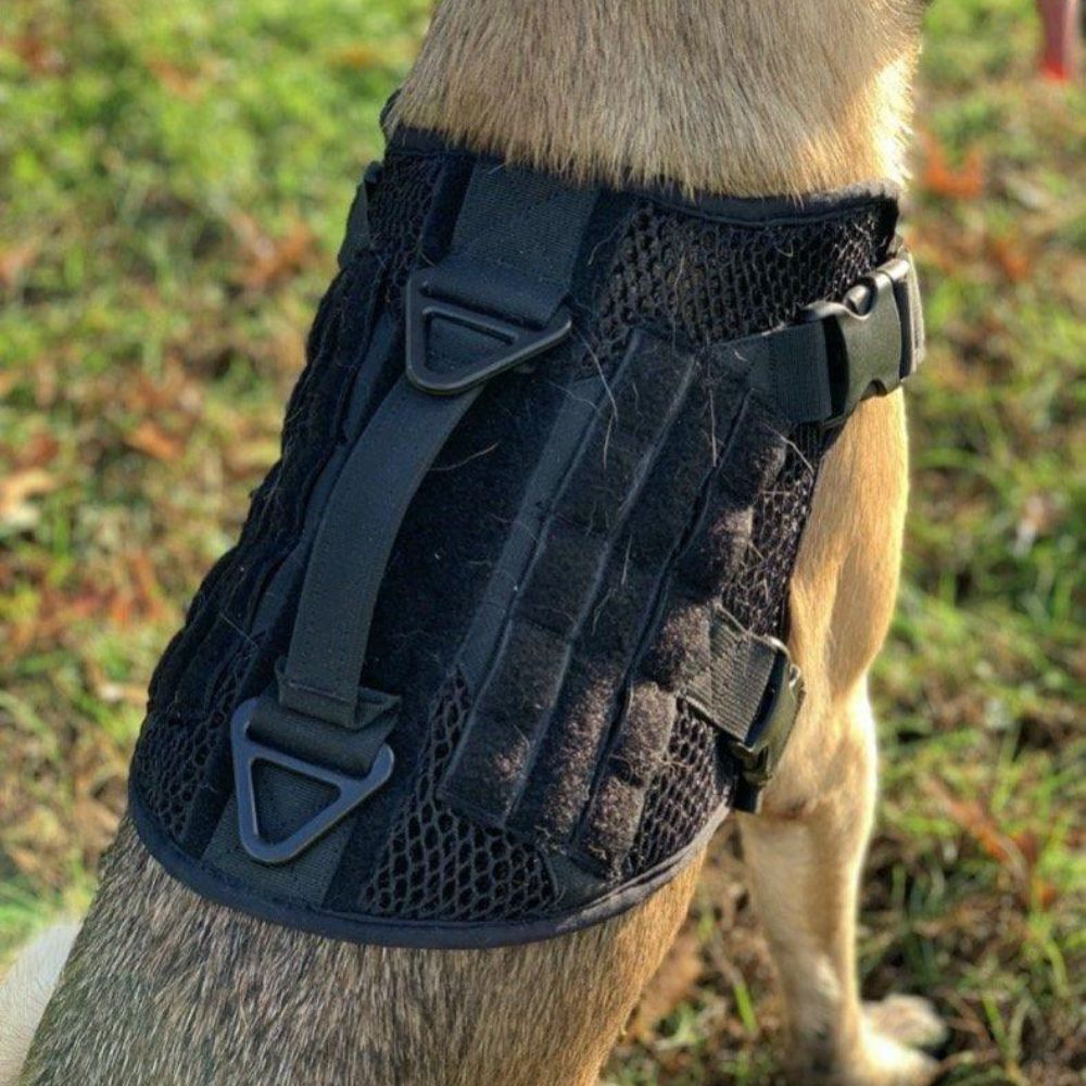 Artemis Dog Harness - No Pull No Tug No Choke Adjustable Breathable K-9